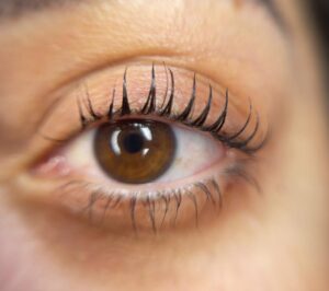 הרמת ריסים מחיר