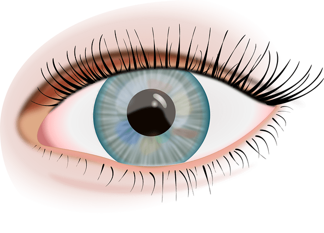 הרמת ריסים בחיפה